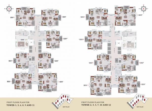  my-home-akrida Tower 1 Cluster Plan