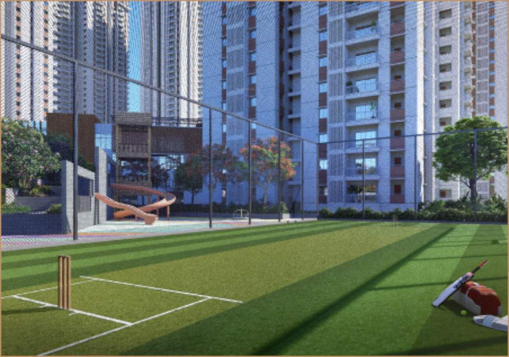  my home akrida Cricket Pitch