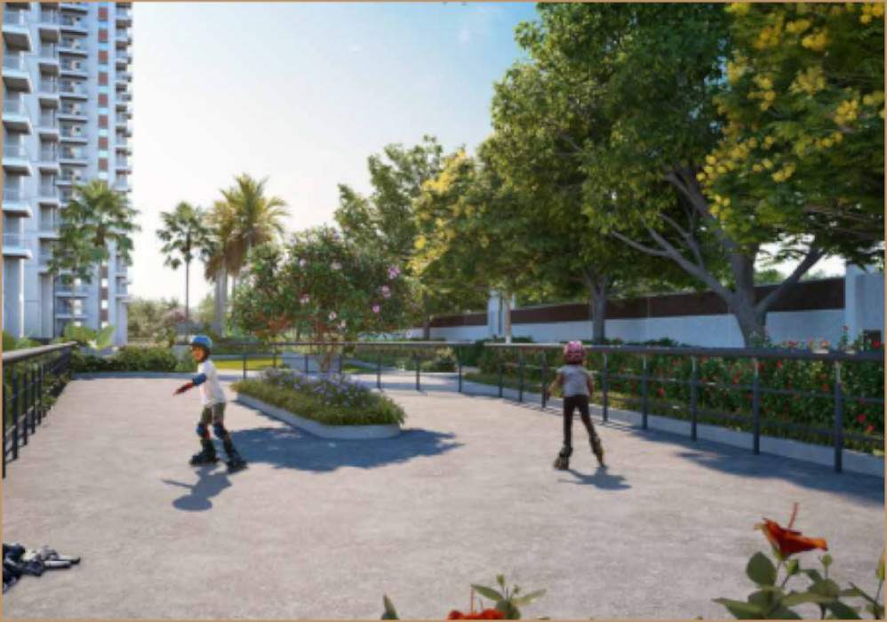  my home akrida Skating Rink