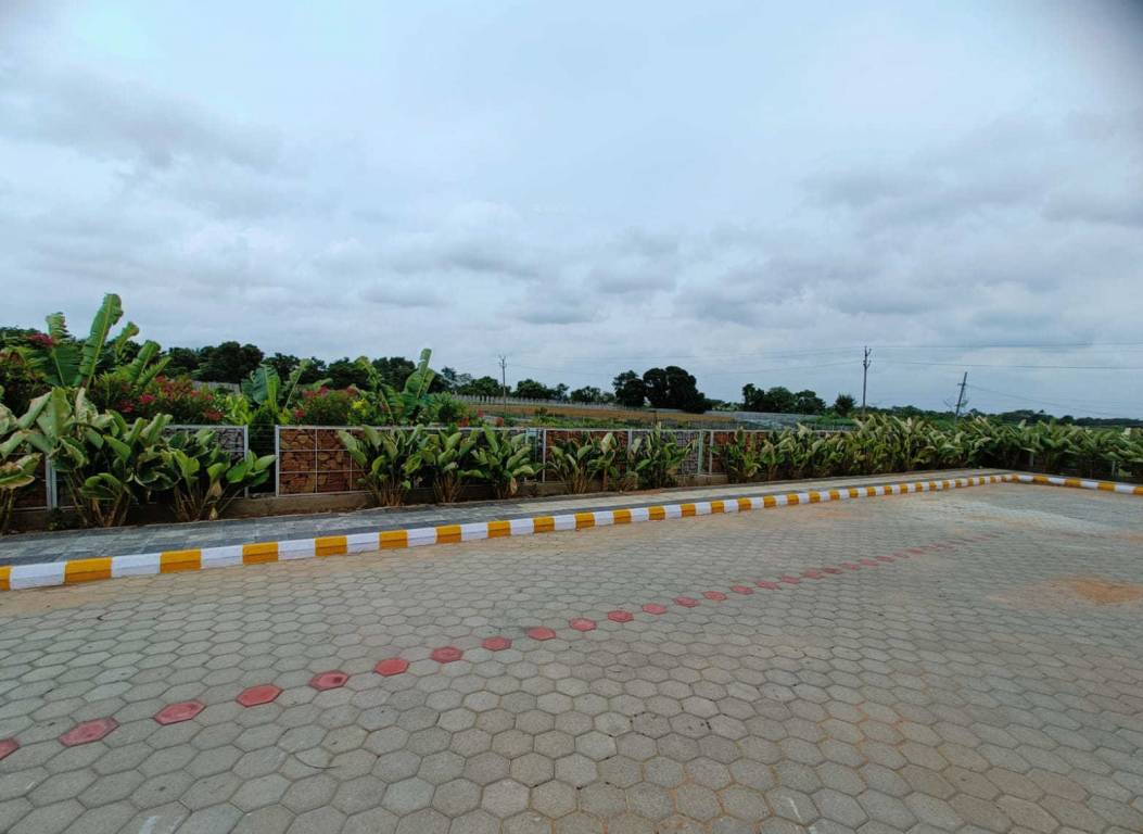  shantivan Internal Roads