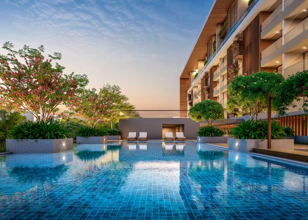 Others spectraa Others