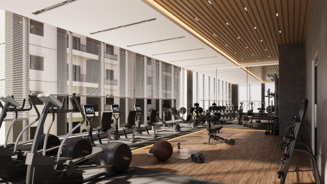  the tamarind Gymnasium