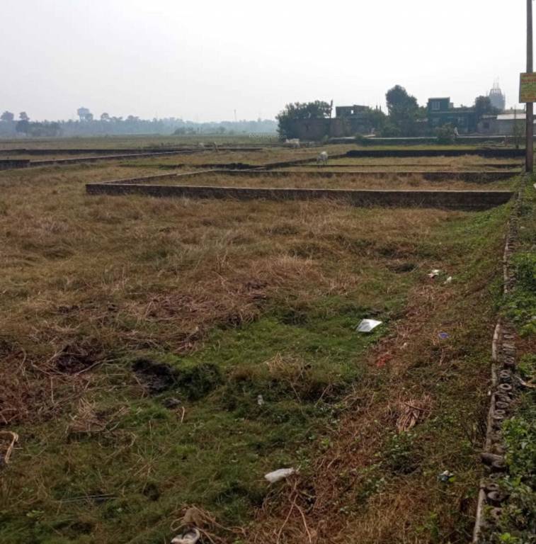  down town valley Plot