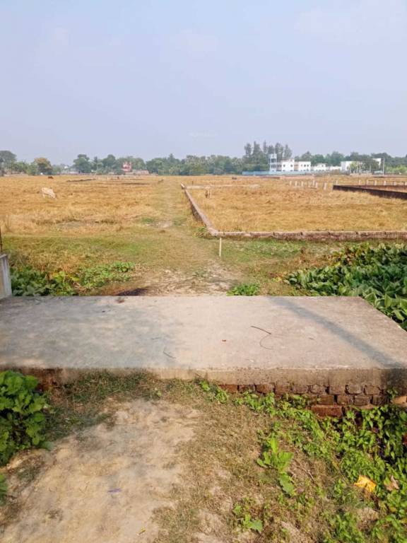  down town valley Plot