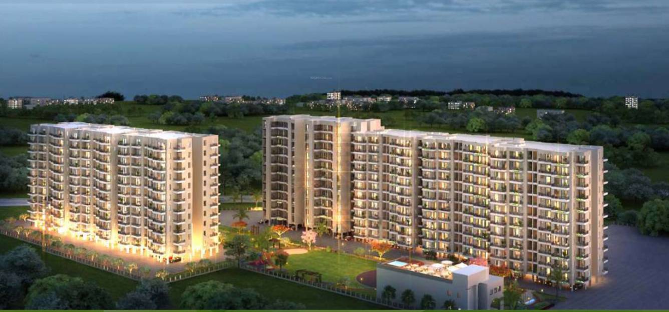  orchid green Elevation