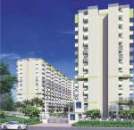  orchid-green Elevation