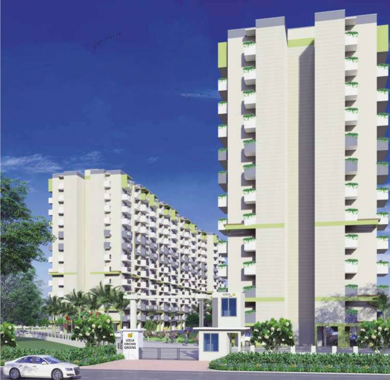  orchid green Elevation