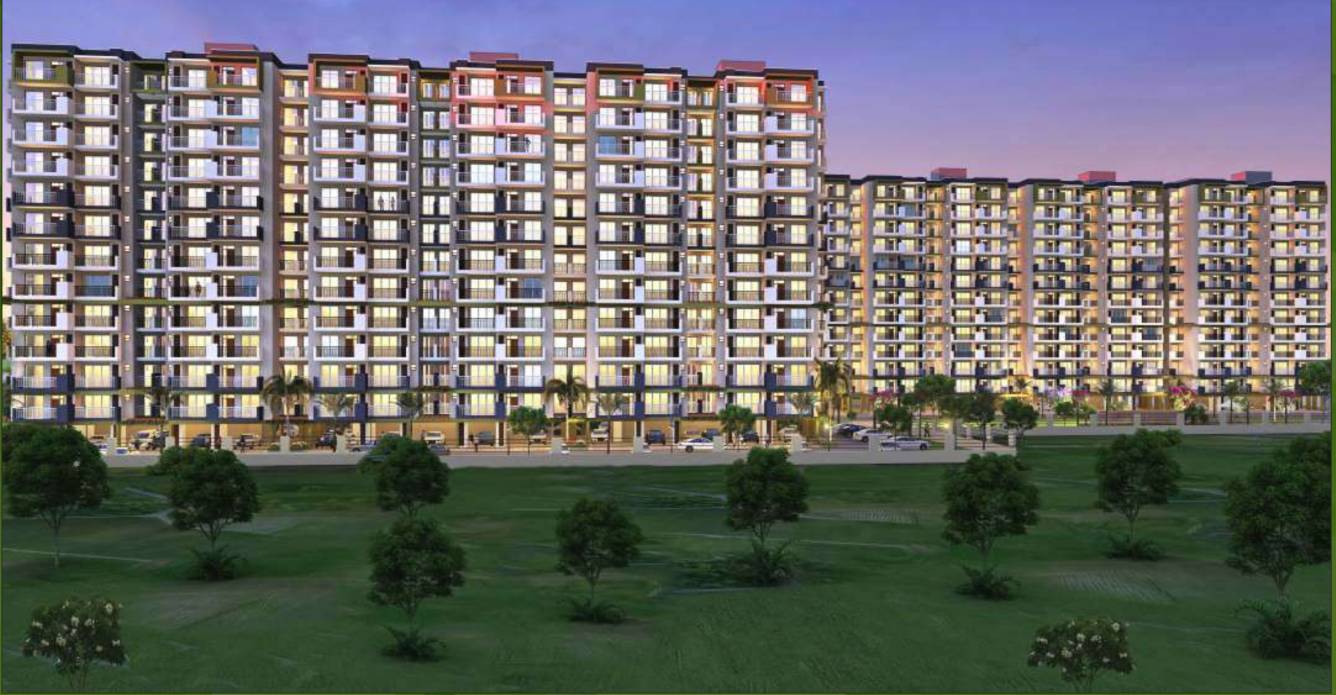  orchid green Elevation