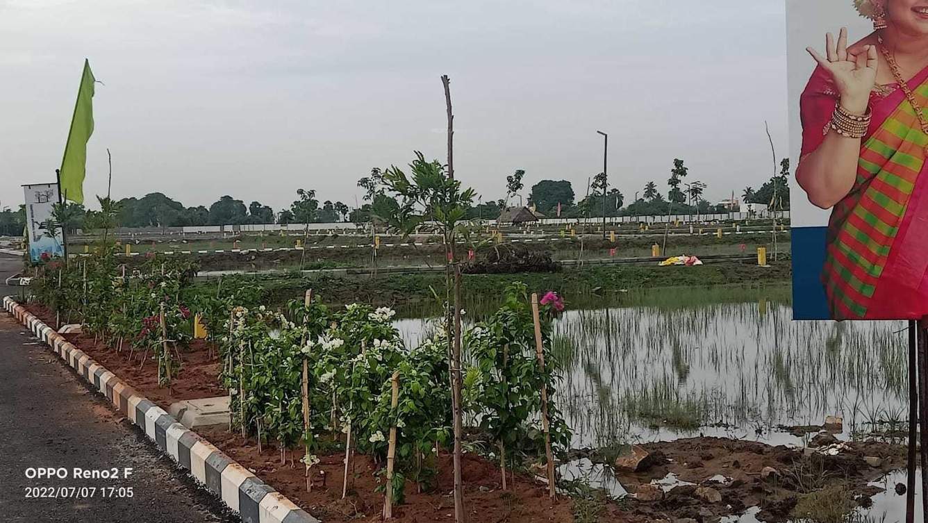 new vision township Plot