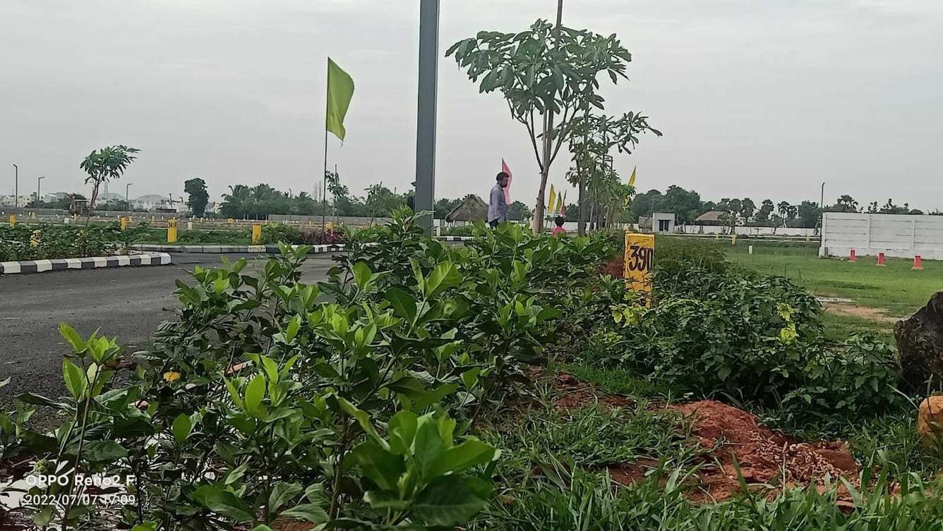  new vision township Plot