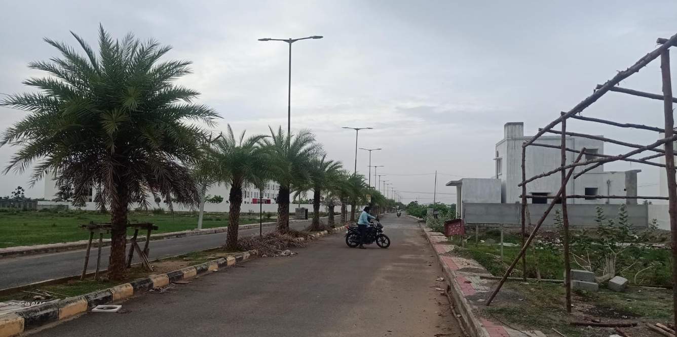 new vision township Plot