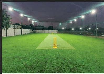  the-green-sapphirre Cricket Pitch