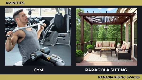  life-established Others