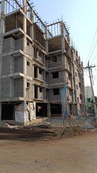  tulip Construction Status March-24