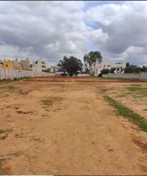 Elevation central-avenue-phase-3 Elevation