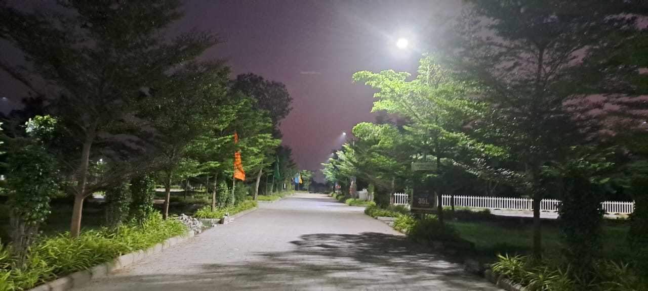  s and p the crest Plot