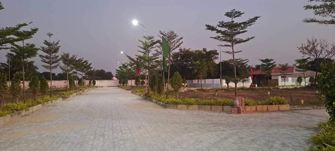  s and p the crest Plot