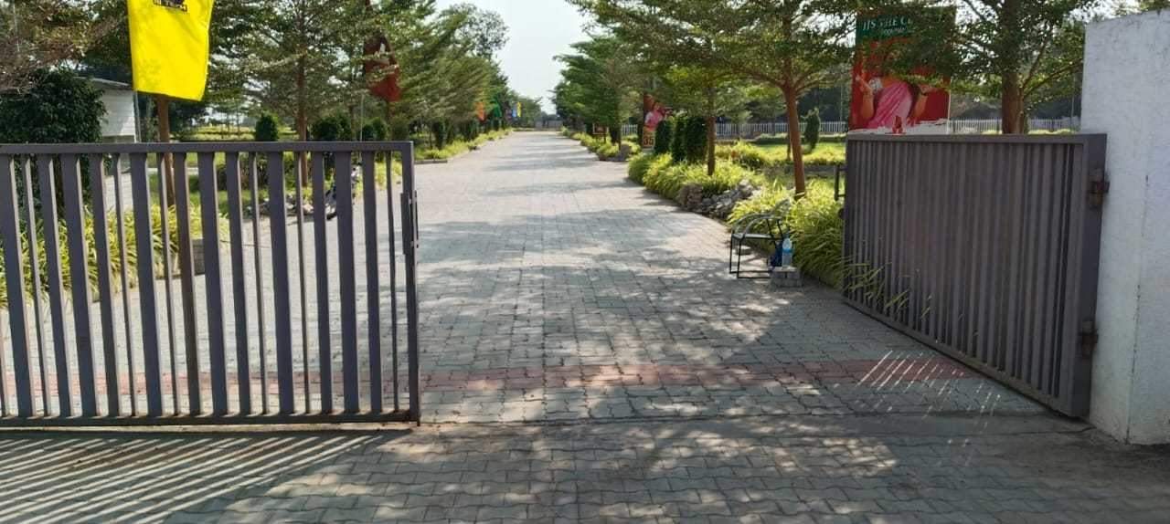  s and p the crest Plot