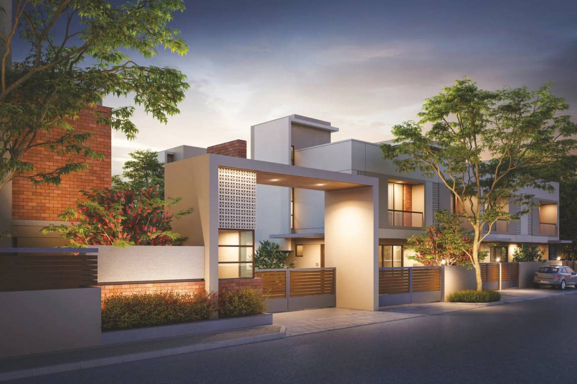 spring woods Elevation