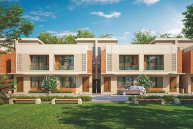 Elevation spring-woods Elevation