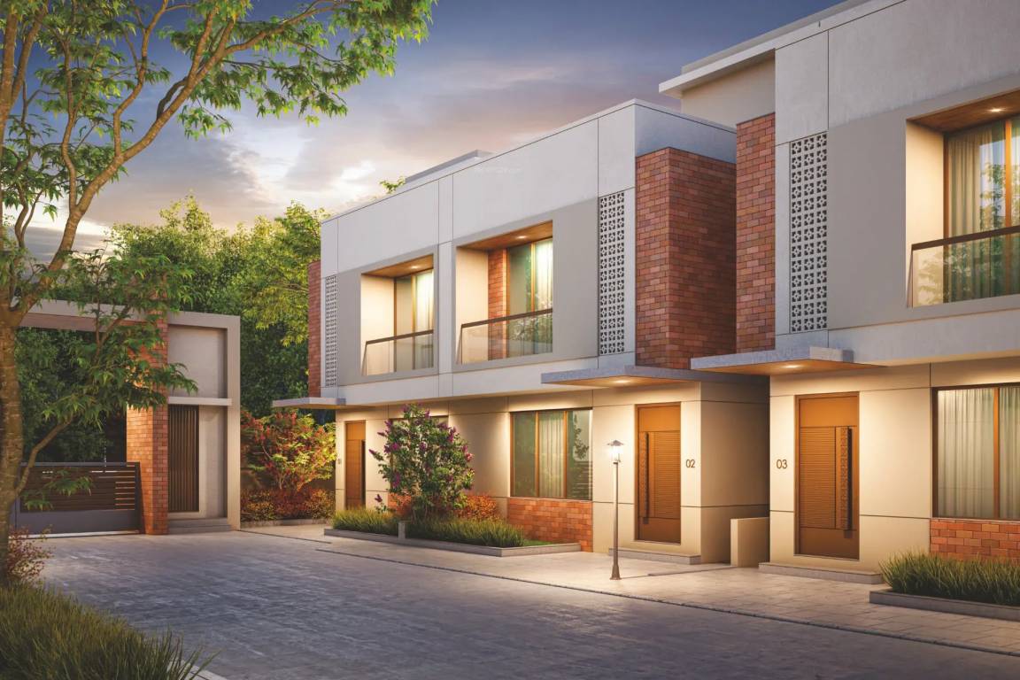 spring woods Elevation