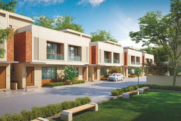  spring-woods Elevation