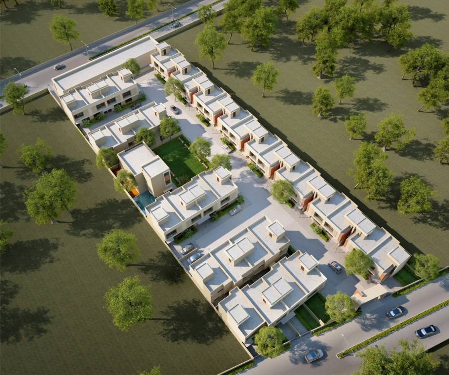 spring woods Elevation