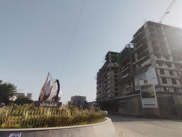 Kavisha The Portrait