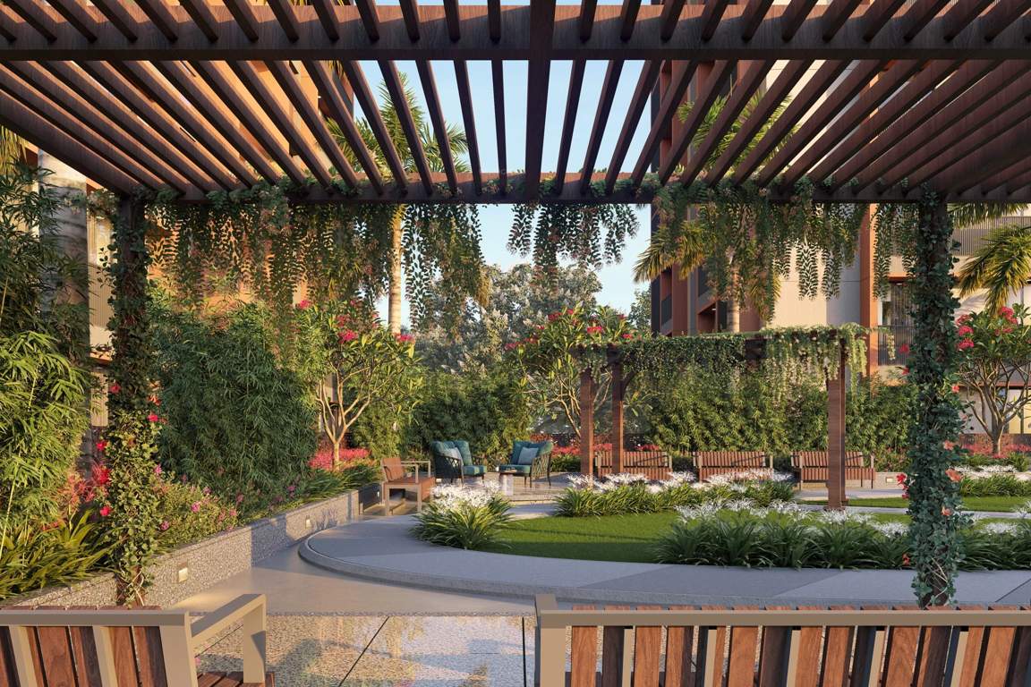  safal Senior Citizen Sitout