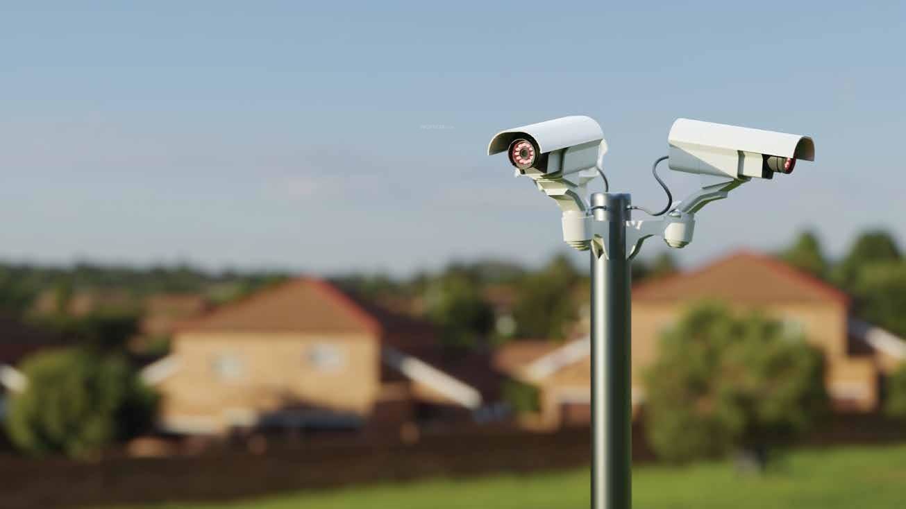  lifespaces zen Others