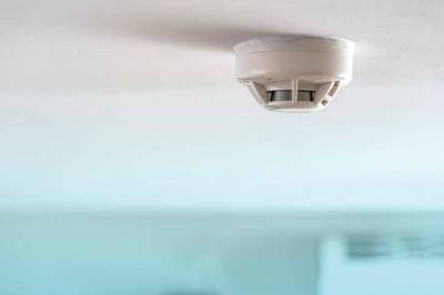  lifespaces-zen Others