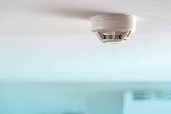  lifespaces-zen Others