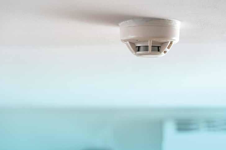  lifespaces zen Others