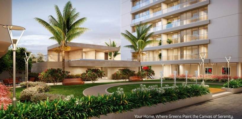  the sparkle Landscape Garden and Tree Planting