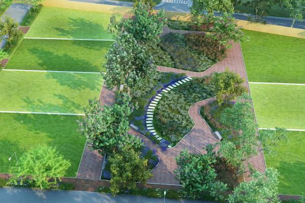  codename-tranquility Landscape Garden and Tree Planting