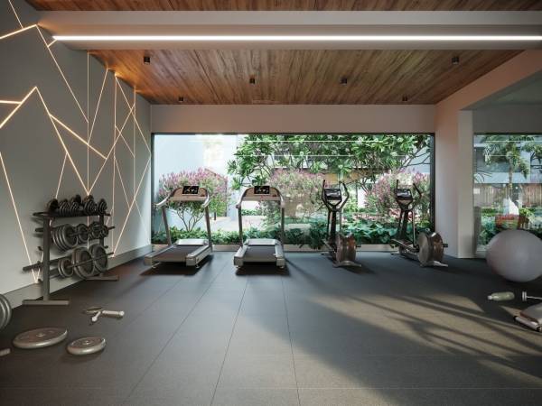 Gymnasium palace Gymnasium