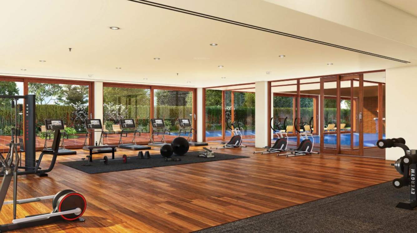  songs from the wood phase 3 Gymnasium