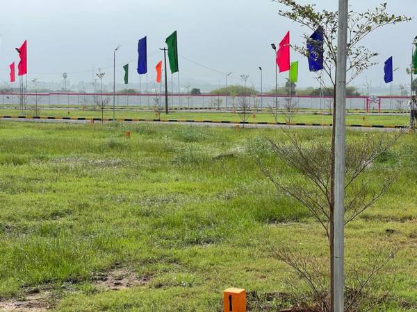  chandraseker-avanue Plot