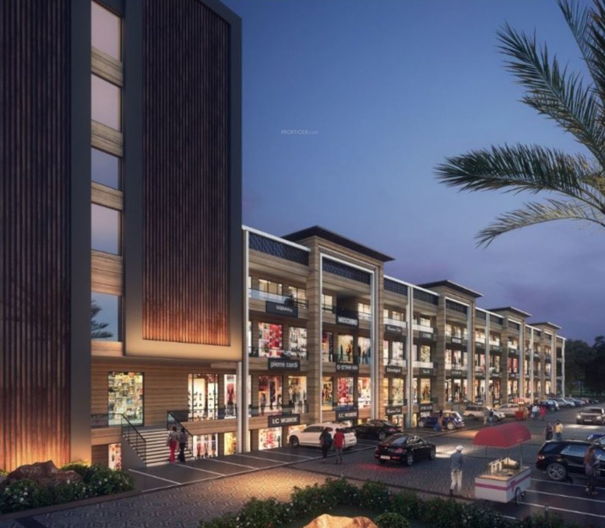 amayra emporio Elevation