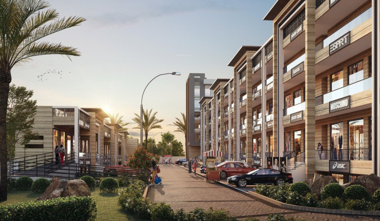 amayra emporio Elevation