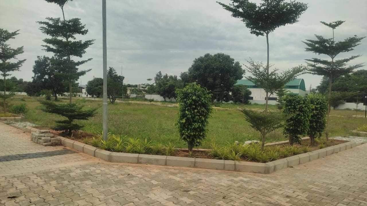  the crest phase 2 Plot