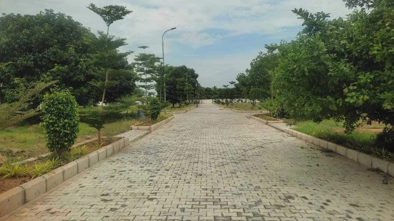  the crest phase 2 Plot