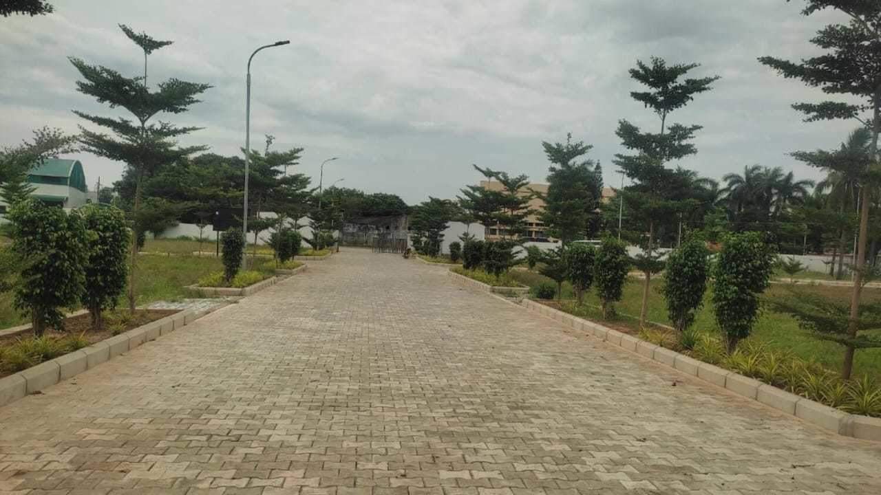  the crest phase 2 Plot