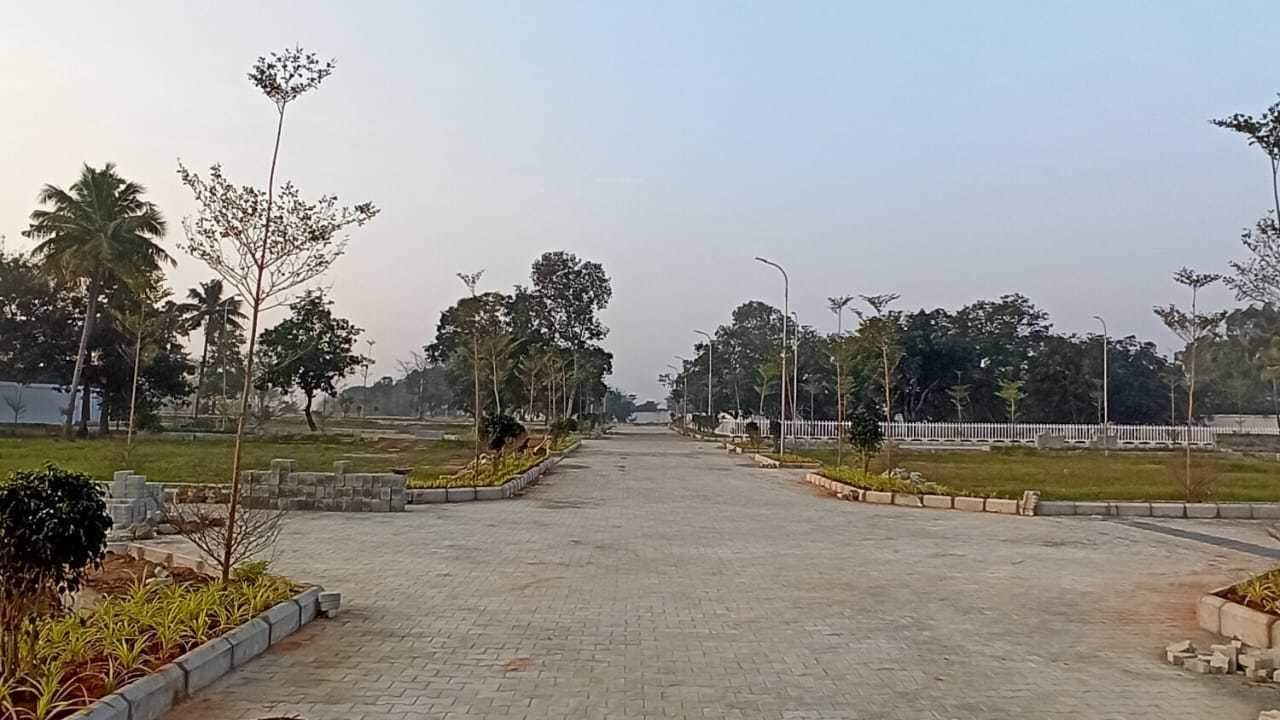  the crest phase 2 Plot