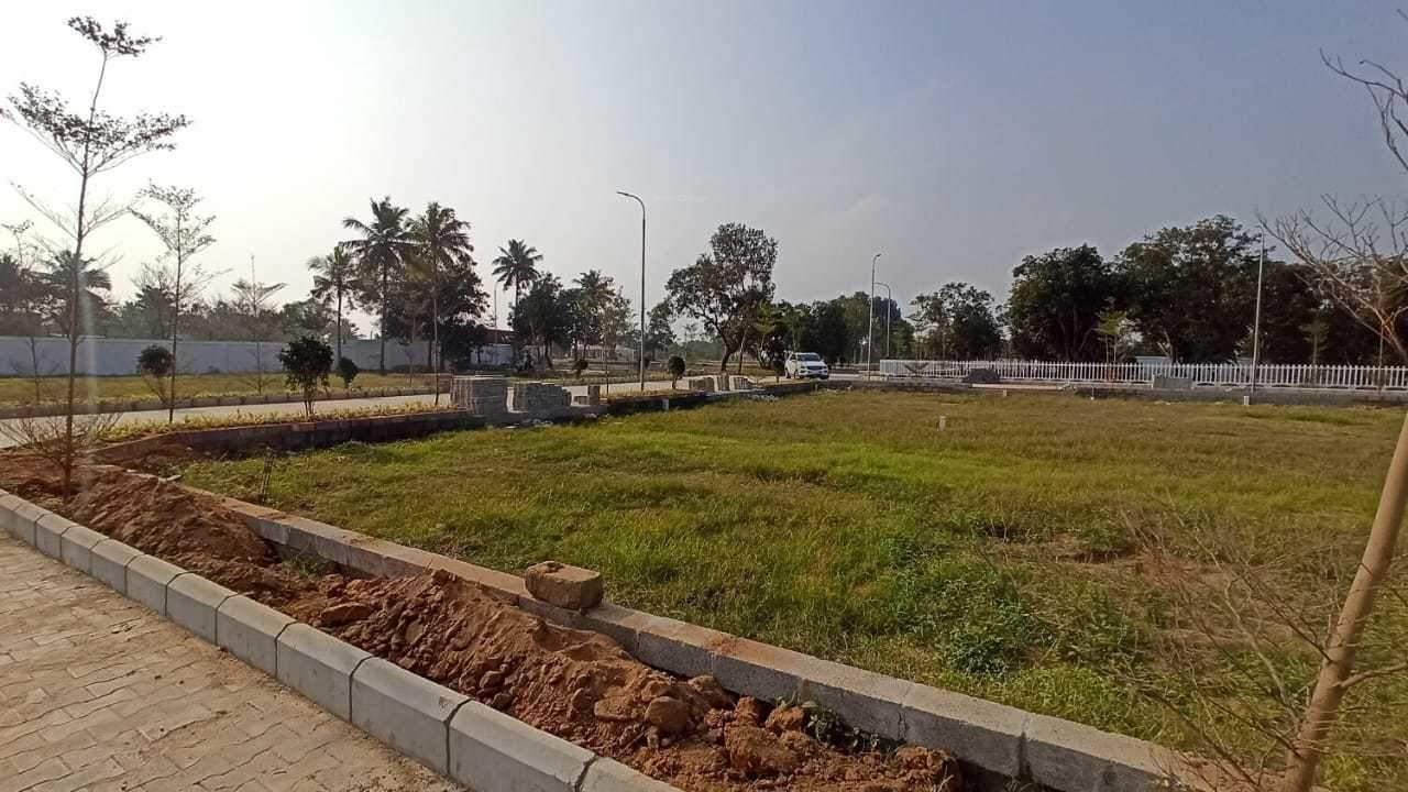  the crest phase 2 Plot