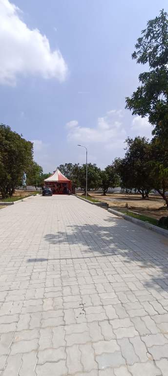  the crest phase 2 Plot