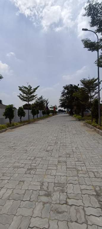  the crest phase 2 Plot