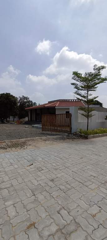  the crest phase 2 Plot