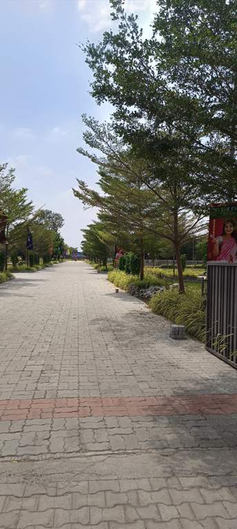  the crest phase 2 Plot