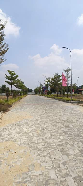  the crest phase 2 Plot